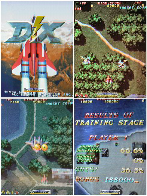 Raiden DX